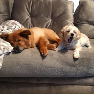 Meet your Posher, Becky